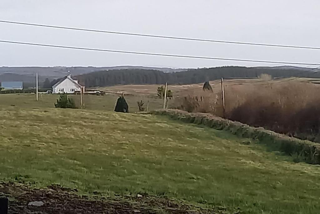 Tadgh'S Cottage Ennis Exterior foto